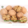High Qulit Walnut jądra światła na sprzedaż
